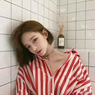 狗仔杜宾